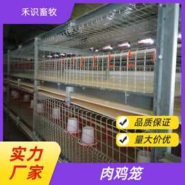 三层立式肉鸡笼养殖场鸡笼镀锌鸡笼子阶梯式蛋鸡 养鸡场H型框架笼