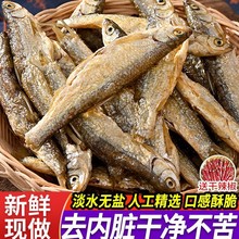 淡水无盐火焙小鱼干干货去内脏湖南特产人吃小河鱼仔江西农家干鱼