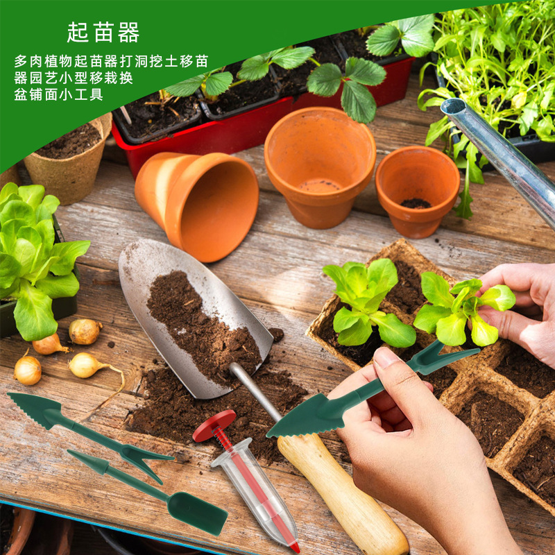 Nuevo tipo de semilla de aguja semilla de artefacto semilla de plántulas semilla manual de colza herramientas de jardinería