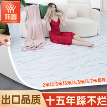 3米宽加厚地板革水泥地直接铺垫地面隔潮家用pvc塑胶地毯外贸批发