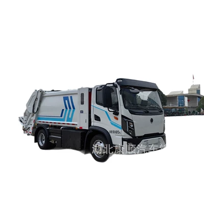Truck, Elektrik zibil maşınları