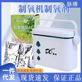 鼎翔 便携式家用制氧器DX-2000 制氧机制氧剂制氧设备耗材A制氧器