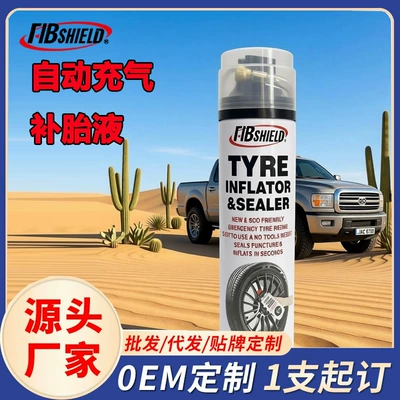 Tyre Inflator Car-Specific Tire Repair Fluid Automatic Inflation Vacuum Tire New Energy Processing Oem (Kempinq və səyahət)
