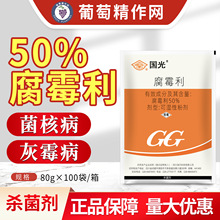 国光腐霉利 50%腐霉利葡萄夏黑巨峰阳光玫瑰灰霉病农药杀菌剂批发