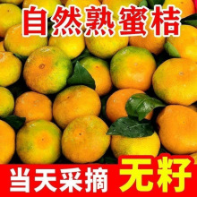 【爆汁蜜桔】现摘新鲜无籽蜜橘宜昌蜜桔早熟黄皮橘子薄皮无籽桔子