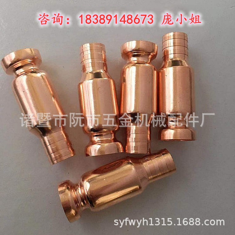 鱼缸换水器全铜吸水头 车用尿素加注抽水管抽油管 1/2 3/4 虹吸头