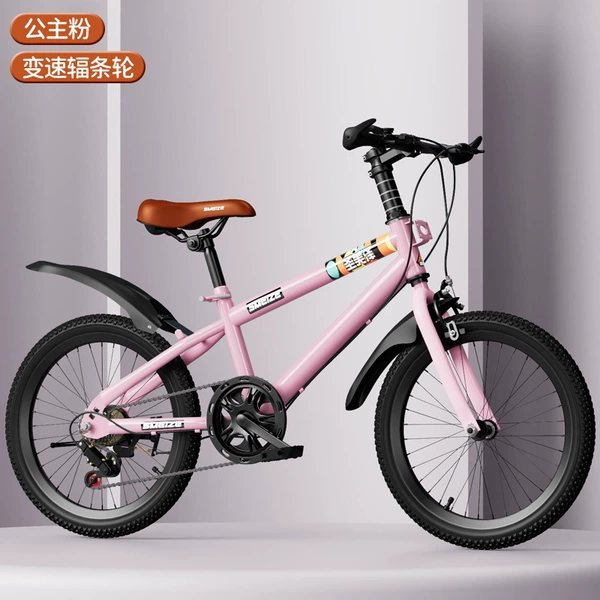 Bike shifter (brake handle), fuchsia bike spokes