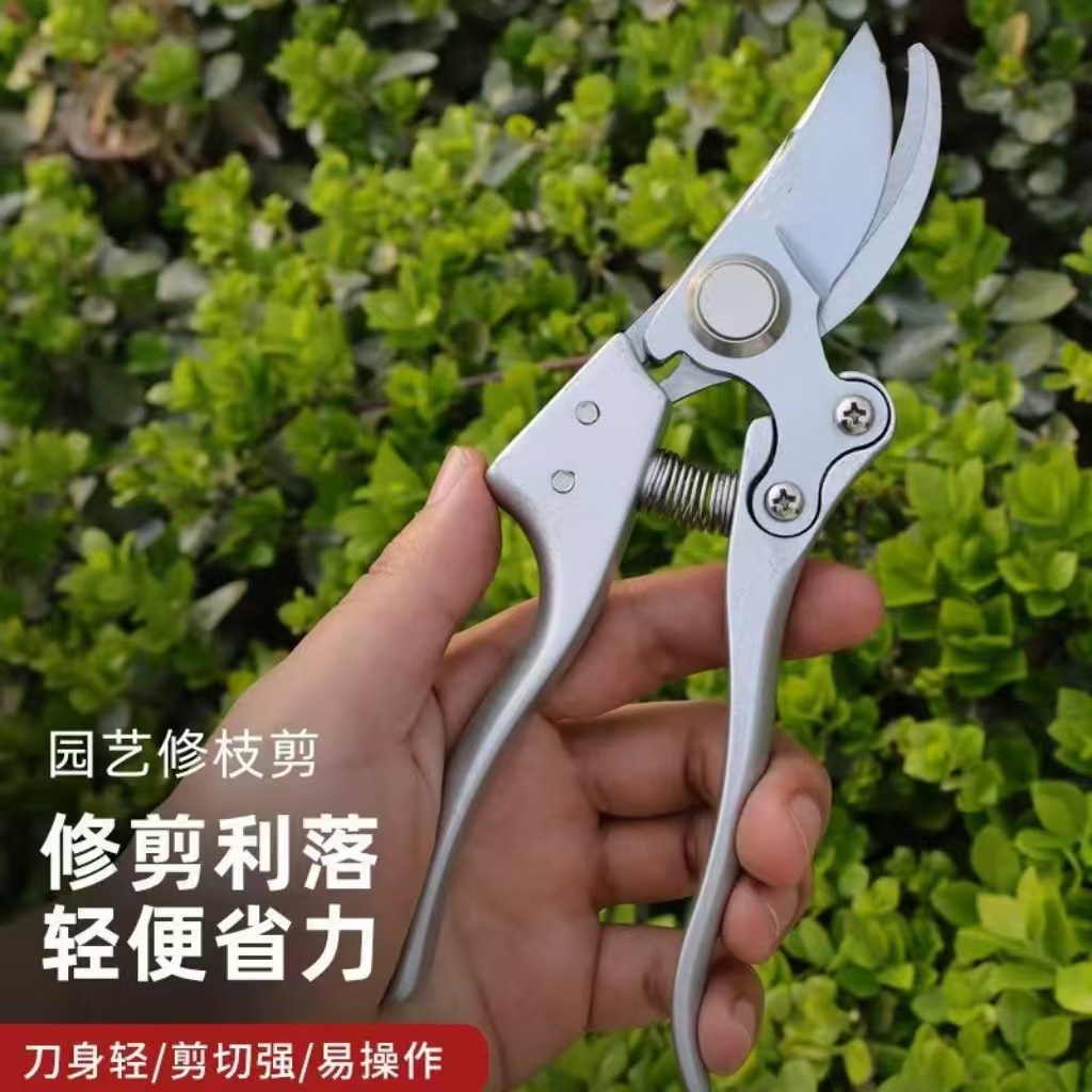 多功能修枝剪刀进口园林园艺剪刀家用多功能修剪果树花枝树枝的神