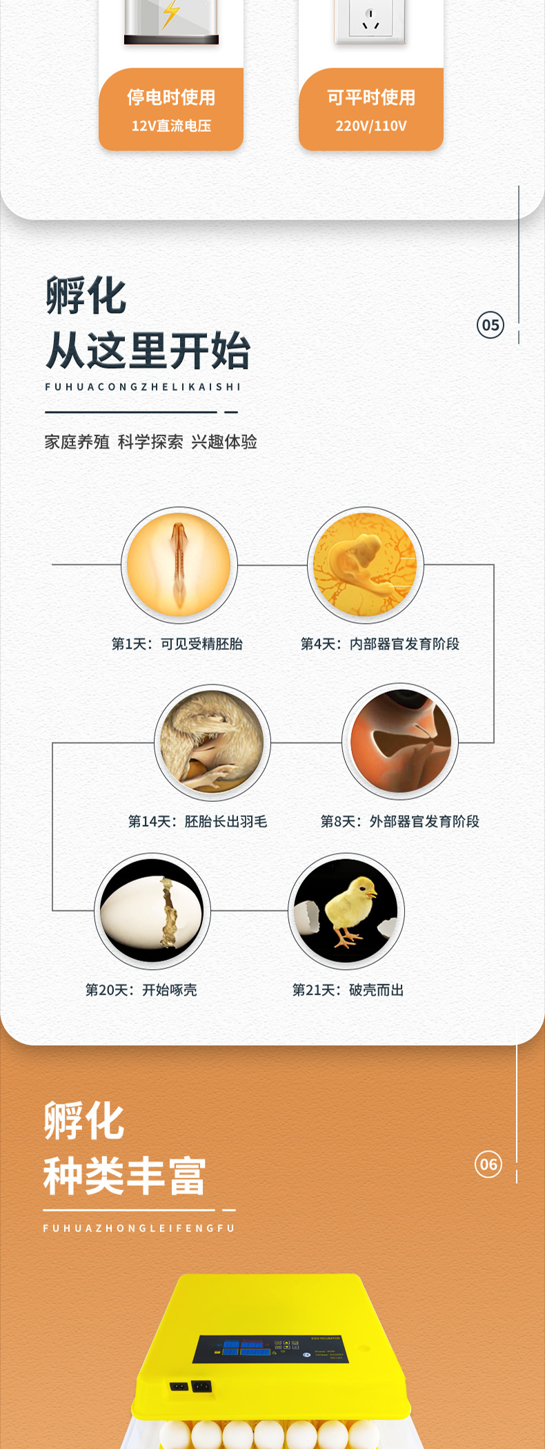 112枚双电源（花篮蛋盘）-已修改_04