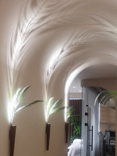 ���W��ľ�ɻ���ƿֲ���ƿ��ʽ���ϱ�ڒ�ڟ���Ӱ����