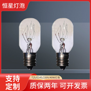 Processing and Customizing Salt Lamp Bulbs T16T20T22E12E14 Screw-Mount Tungsten Filament Micro Small Lamps with Dimming Capability