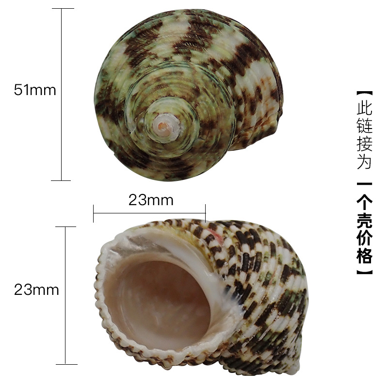 X38 대형 다채로운 4cm+ 게에 적합