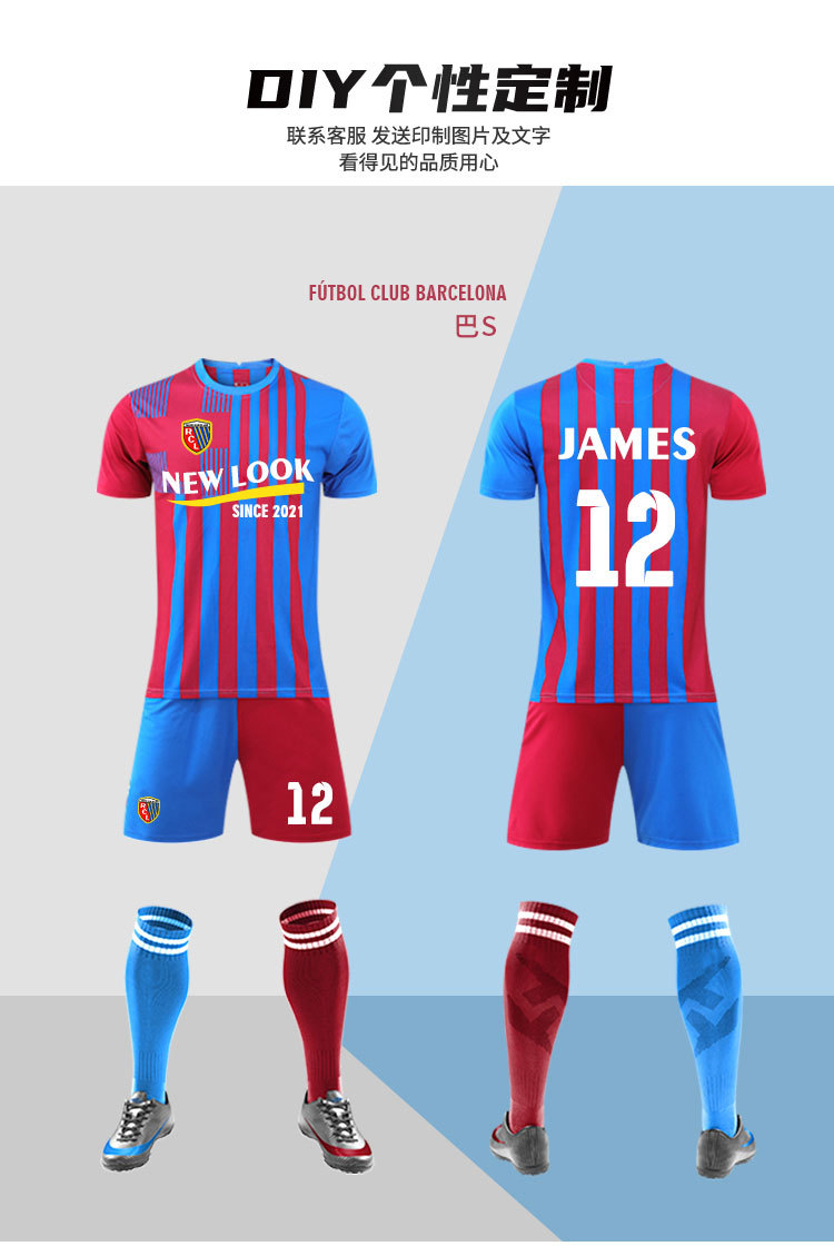 22带队徽(飞德纳)_05