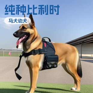 ���l�����r�RȮ�����o�lȮ����Ȯ��Ŀ�RȮ����Ȯ���N����Ȯ���w��