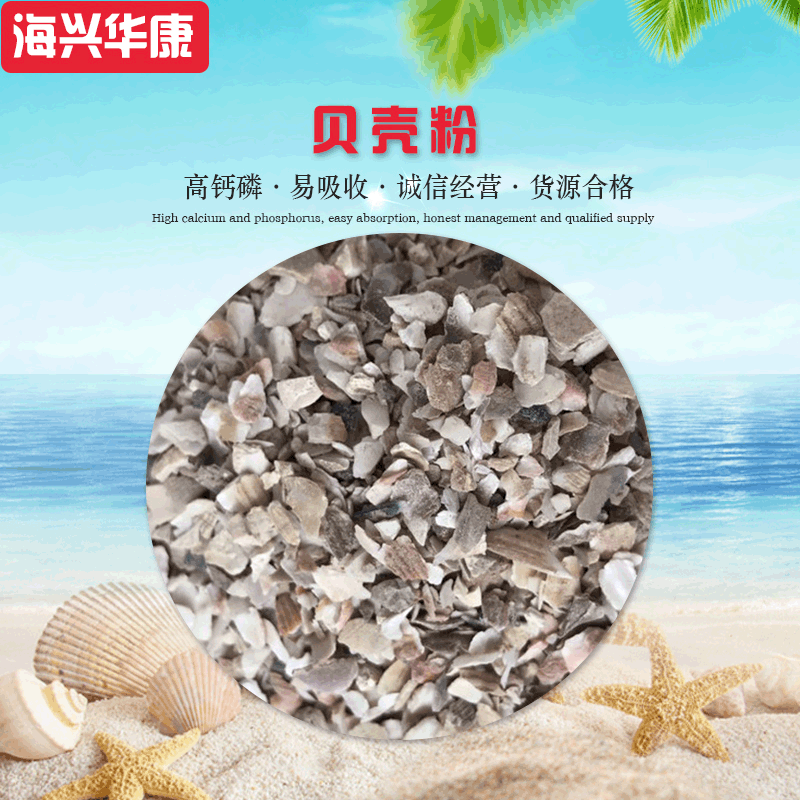 饲料级贝壳粉 鸡鸽用贝壳粉 海水煅烧贝壳 海贝壳销售