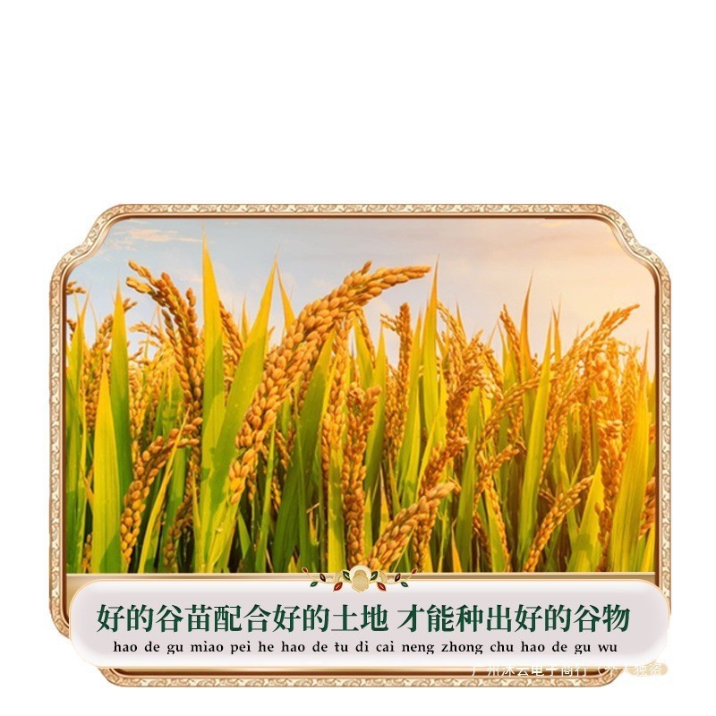 香米5kg东北黑龙江新米五常2025原粮真空10斤大米长粒香|undefined