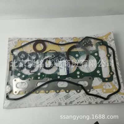 Shuanglong – 1610104108 Overhaul Kit Other starting systems