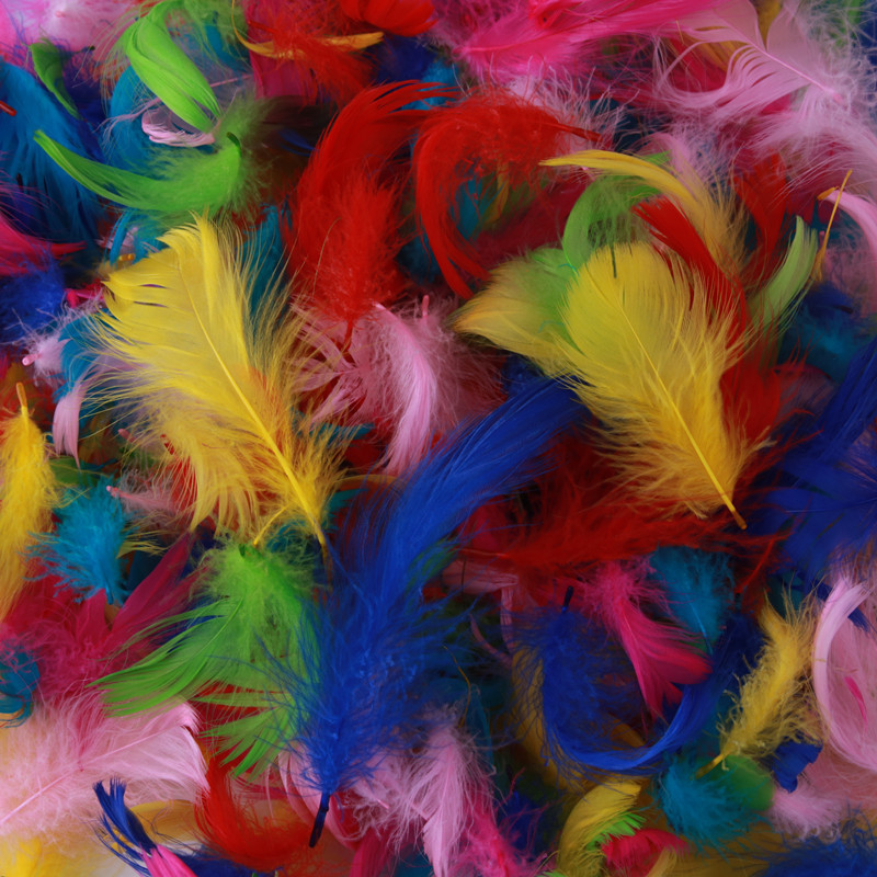 礼花礼炮礼盒波波球游泳圈填充专用彩色羽毛白色鹅毛小飘