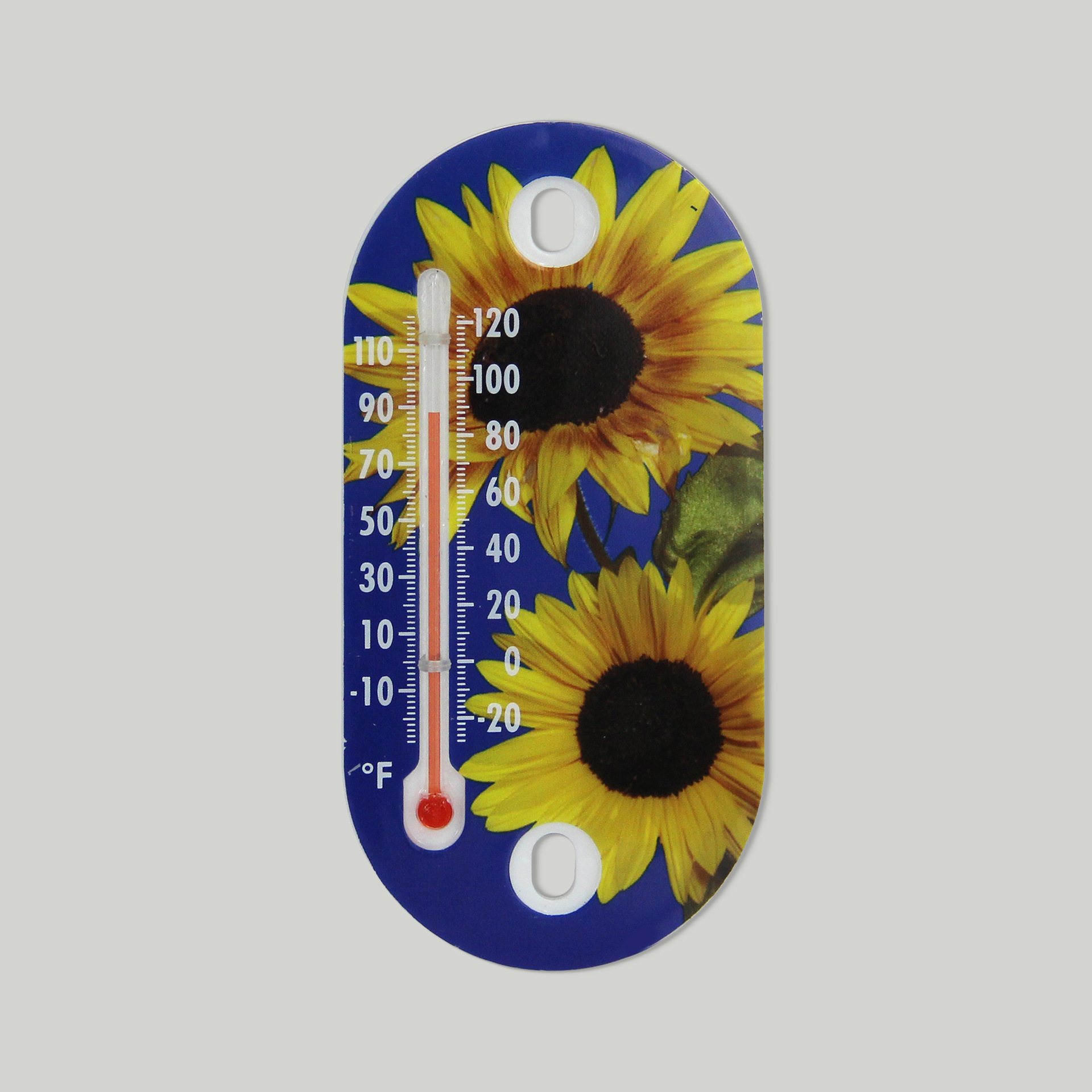 高精度室内室外刻度易读取玻璃管塑料温度计