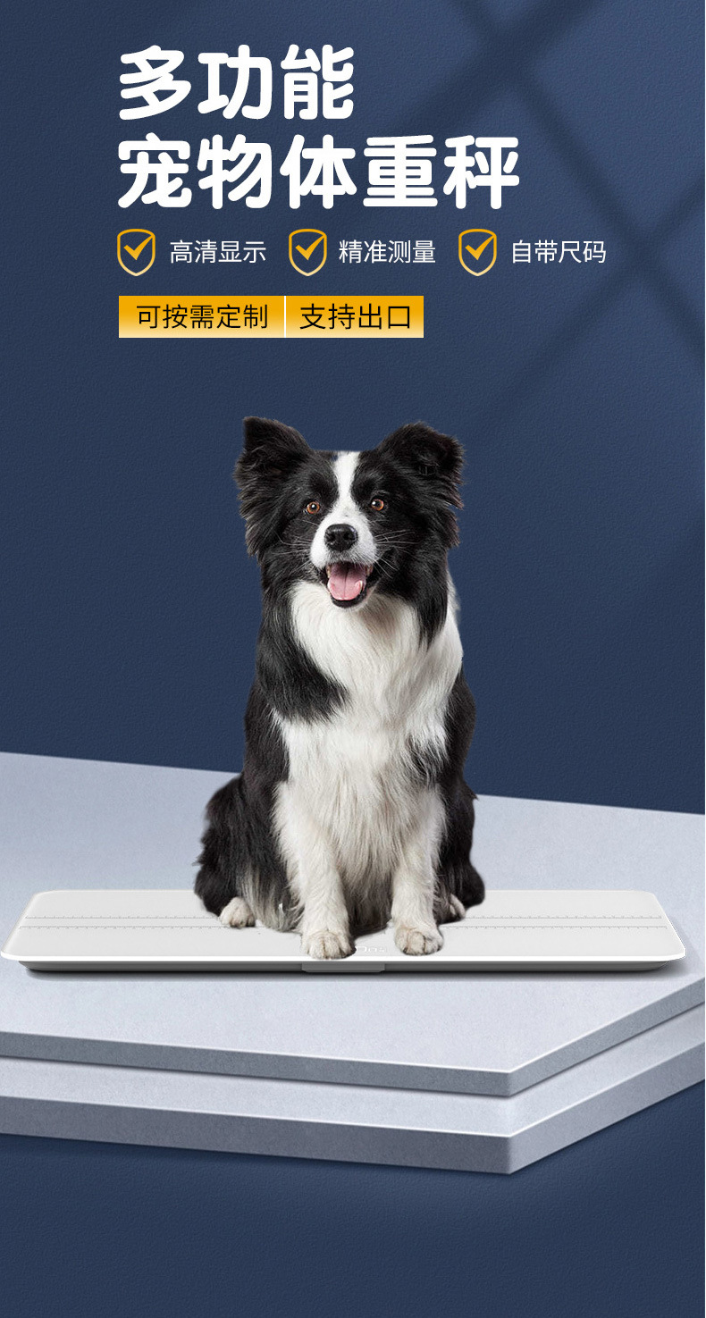 Yeni ev orta ve büyük evcil hayvan ölçeği fabrikası sınır ötesi evcil hayvan hastanesi kedi ve köpek tartı evcil hayvan elektronik tartı