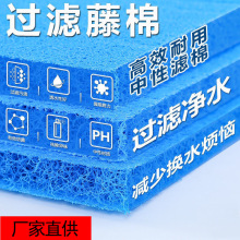 �ձ����{�����\�����^�V�������޸��ܶ������������~���^�V�Č���