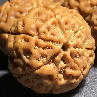 ���ڽ��������ִ���ʿ����ԭ�Ѵ���������ӷ��������Ů7��8�˰�