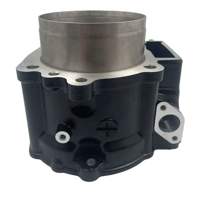Four-Stroke Adv Model Repair – Cylinder and parts