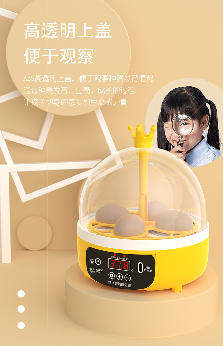 画板 5.png