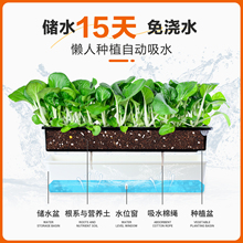 ?�̨���÷N����N�[���L���Θ�����ϻ������w����N��