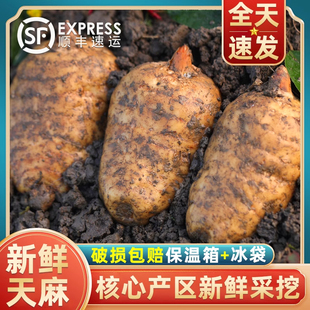 �������r�����ͨС�݉��ؼ���Ұ������Ʒ500g�F�ڬF�l�ٷ���Ş��