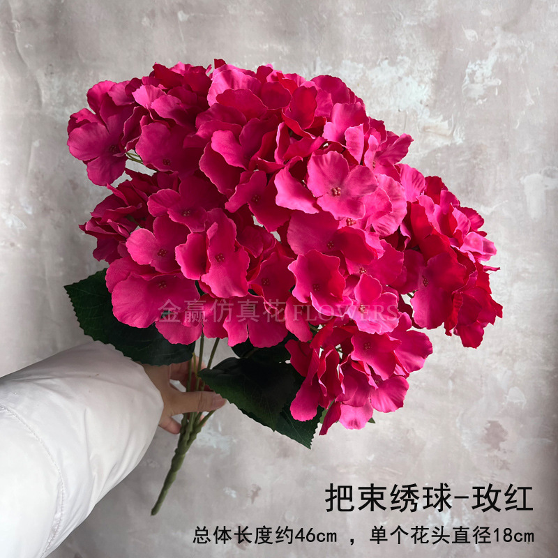 5 수국-잎과 함께