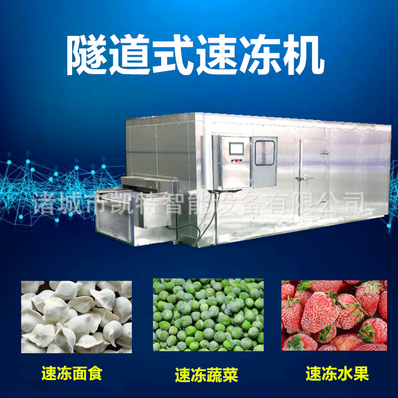 隧道式液氮速冻机蔬菜速冻机水果速冻机净菜加工设备