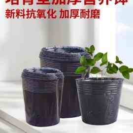 营养杯黑色杯营养钵育苗盆塑料加厚魔芋农用营养袋育苗袋花盆大
