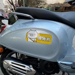 奇魔豬女司機磁性車貼 新手上路反光汽車貼紙 卡通網紅實習期標誌