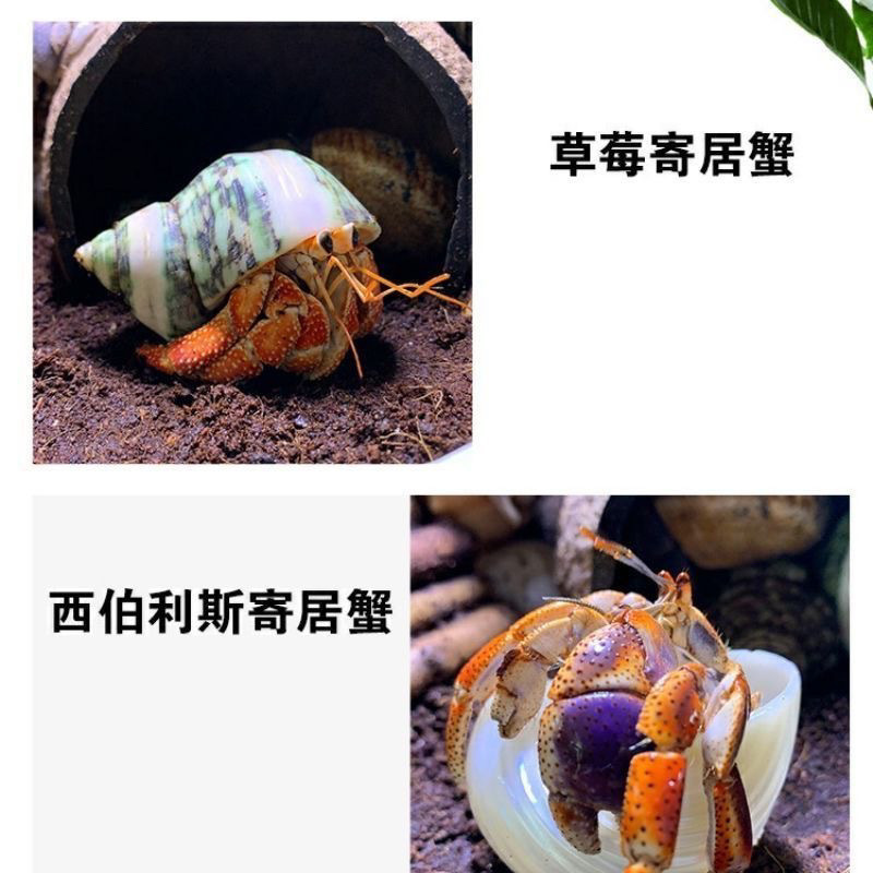 990d2129-cab6-4626-b801-88343f03184b.jpe