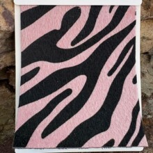 �p�ݰ߼y�RëpuƤ ���Rë�������Ь�Č���