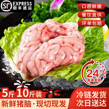 国产新鲜猪脑花猪脑批发鲜冻火锅食材烧烤商用生鲜冷链顺丰现货
