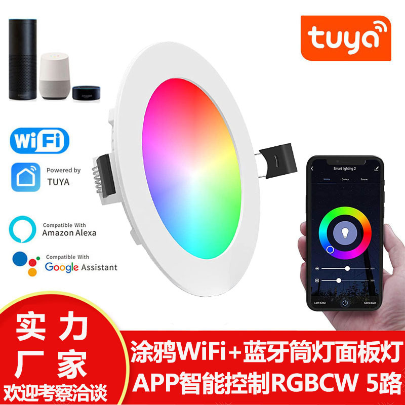 Graffiti inteligente WiFi Bluetooth downlight ZigBee voz App control remoto rgbcw panel de luz Alexa