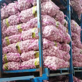 脱水蔬菜;蒜;其他调味品