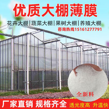 大棚膜农用塑料膜加厚透明白膜塑料布纸整卷防尘防水保温塑料薄膜