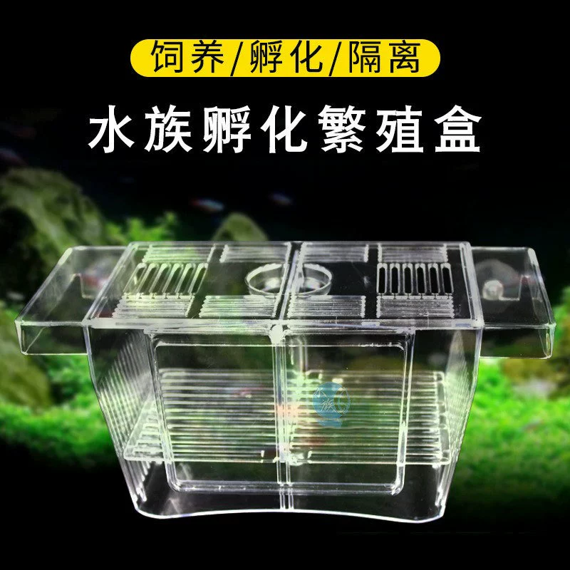 Ящик для разведения аквариума Изоляционная коробка Гуппи прозрачный акриловый инкубатор изоляционная защита яйцеклада мальков рыб