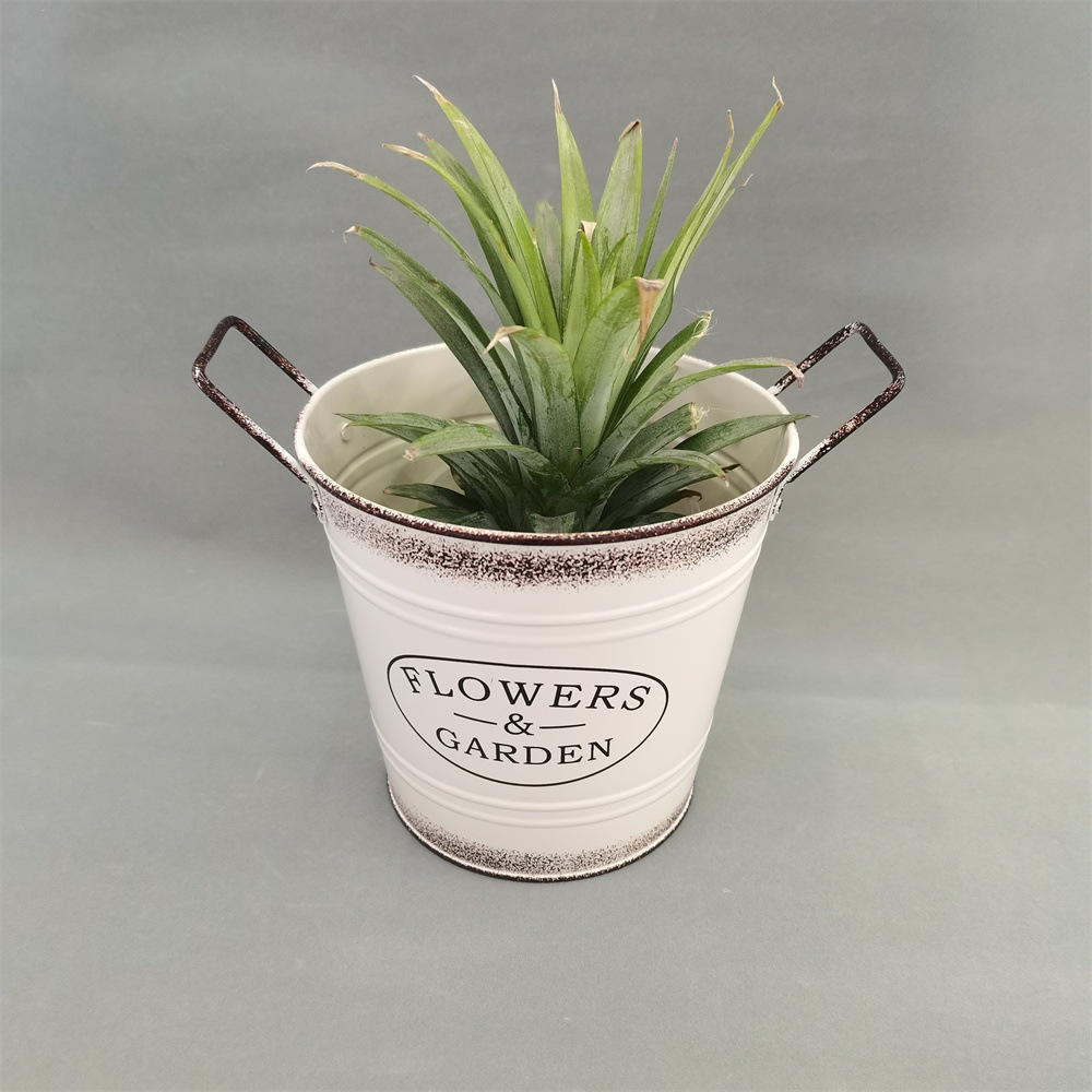 QQ图片20240422103202