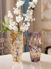 欧式轻奢透明水晶玻璃花瓶摆件客厅插花高级感餐桌富贵竹水培琉璃
