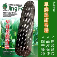 Ŵ׷Nӳˮ׷NݴDļ߮aشͺ