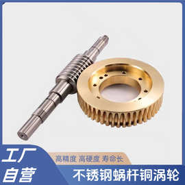 工厂加工涡轮蜗杆不锈钢蜗杆双导程大传动比黄铜蜗轮1模1.5模2模