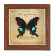 ������˱���� �ڒ�ľ�|�b��ҾӔ[��DIY�͹����[̨���նY��