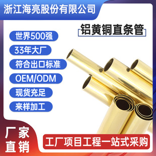 ���� �~�ܿ��{�~���S�~�Ͻ��~�ܙCе�����~�P��ֱ���X�S�~