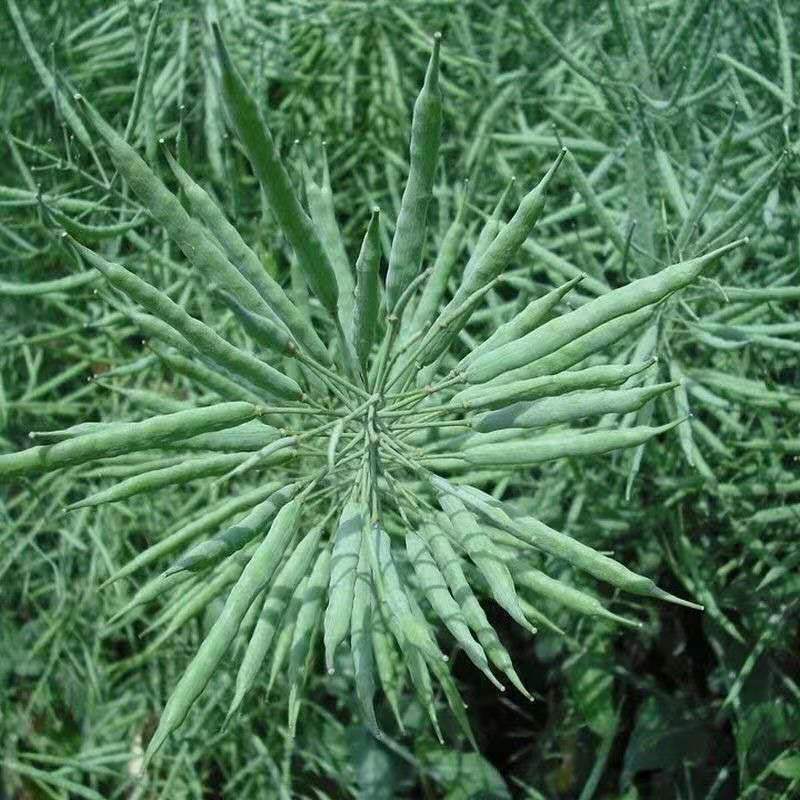 微信图片_20211010192719