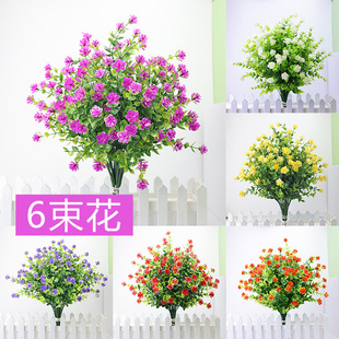 �Gֲ�������b���7���ȼ���õ��Ҿ��bGɫֲ��ҾӲ軨����