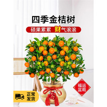 ��ۘ�����������ٿ�ʳ�Î�����Ƥ�ļ����ӿ͏d�҃��⻨�ܾGֲ��